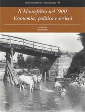 Il Montefeltro nel '900. Economia, politica e società